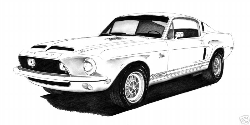 Shelby Mustang GT500KR 13 x 19" Glossy Print